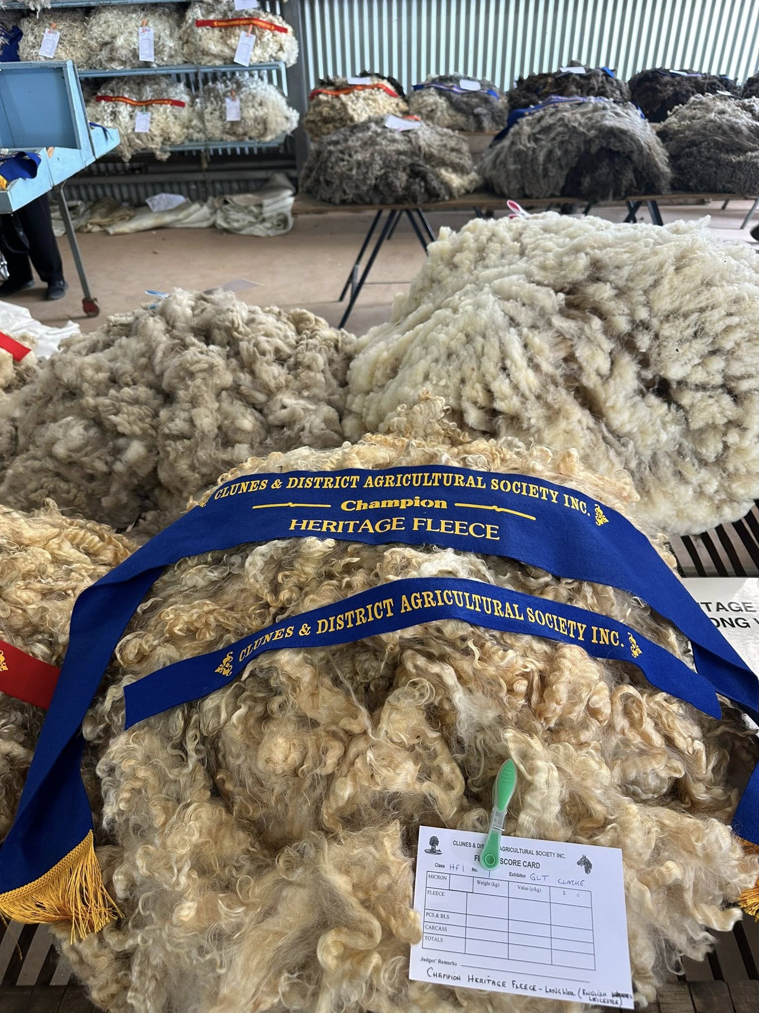 HELPING REGIONAL SHOWS THRIVE AND CONNECT COMMUNITIES Main Image